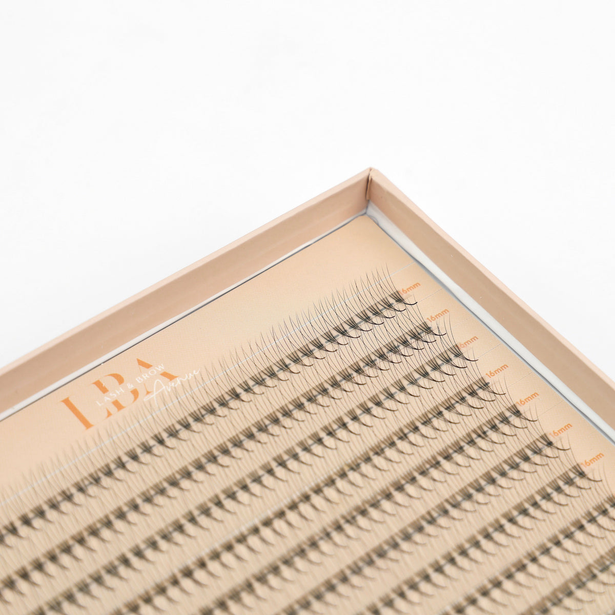 Classic vs Volume vs Mega Volume Lash Trays: What Is the Difference?