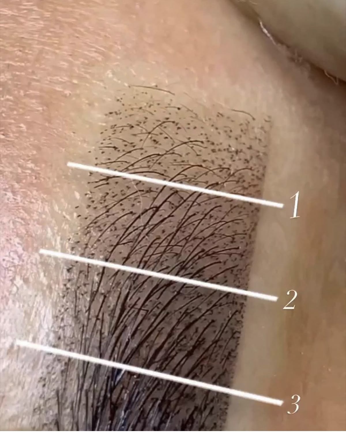 Ombré/Powder Cosmetic Brow Tattoo Course