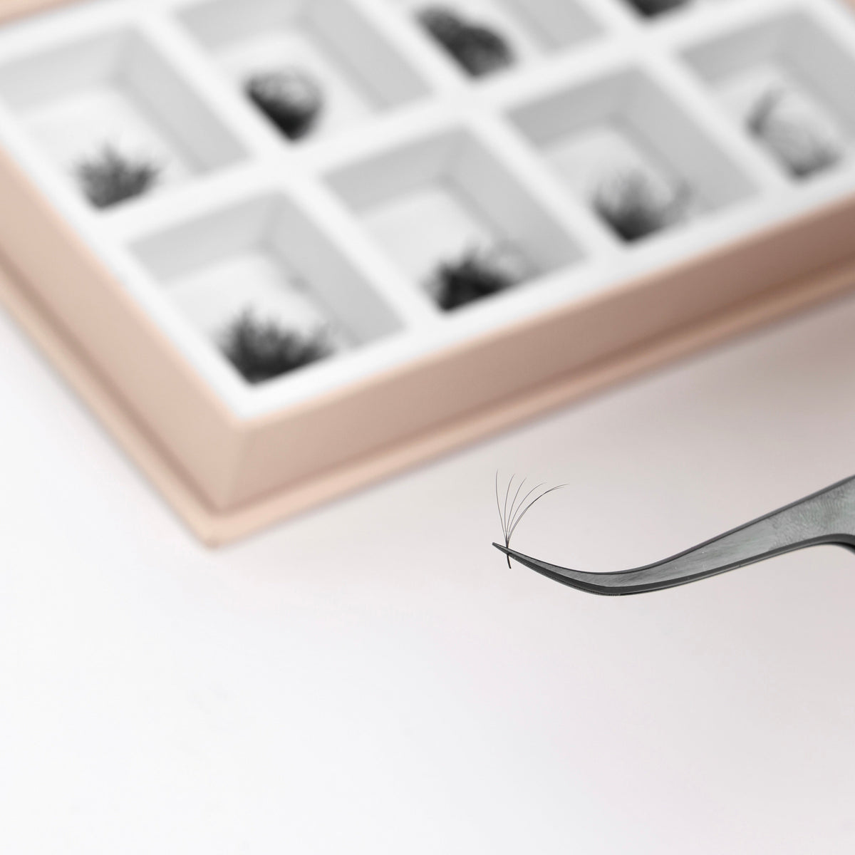 Promade Lash Fans vs Loose Lash Fans: Which Should Lash Artists Choose?