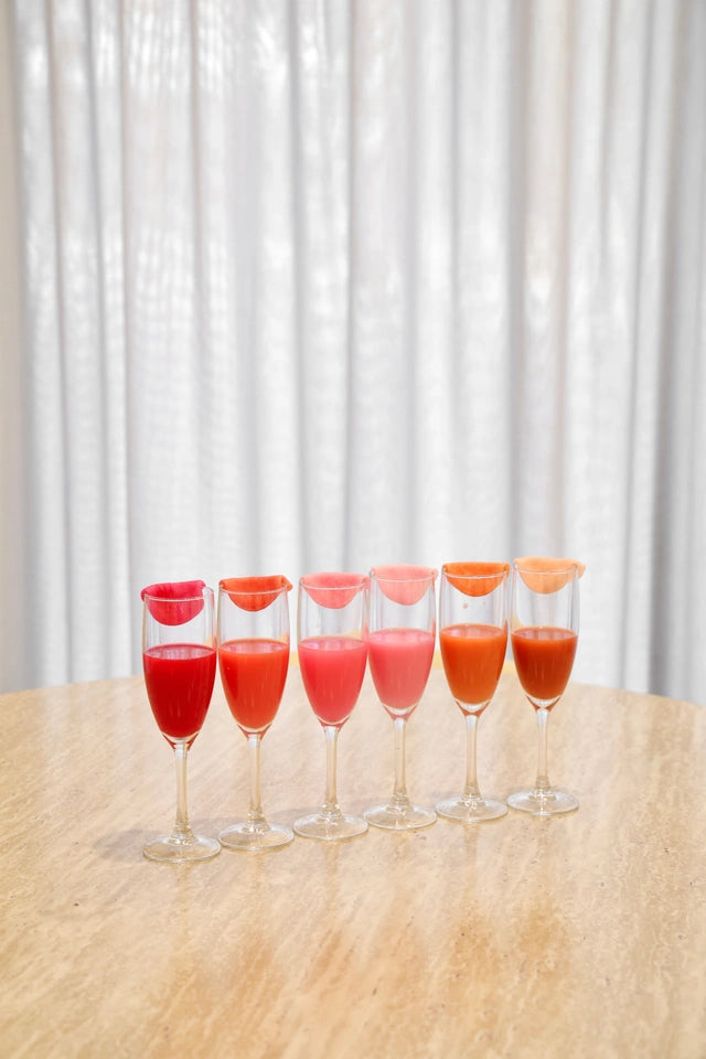 Professional Lip Blush Course